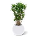 Planta artificial de bambu oriental 70cm