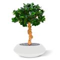 Panda Bonsai árvore artificial sobre base 60cm
