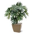 Philo Selloum planta artificial 100cm