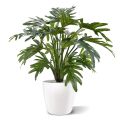 Planta artificial Philodendron Xanadu 50cm