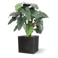 Planta artificial Philodendron XL 120cm