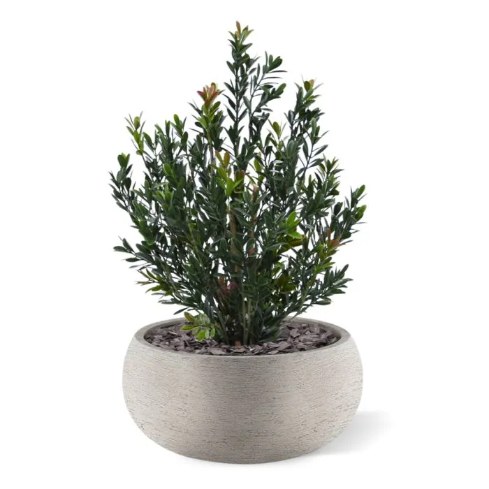 Planta de buxo artificiais 50cm verde-vermelho