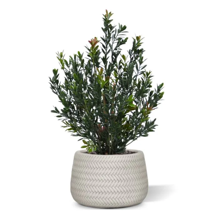 Planta de buxo artificiais 50cm verde-vermelho