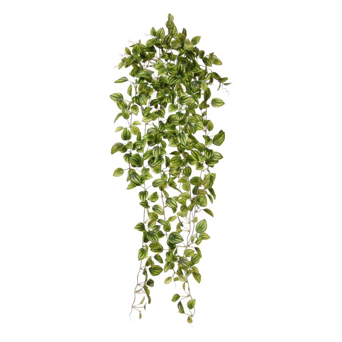 Peperomia Planta suspensa artificial variegada 90cm main product photo