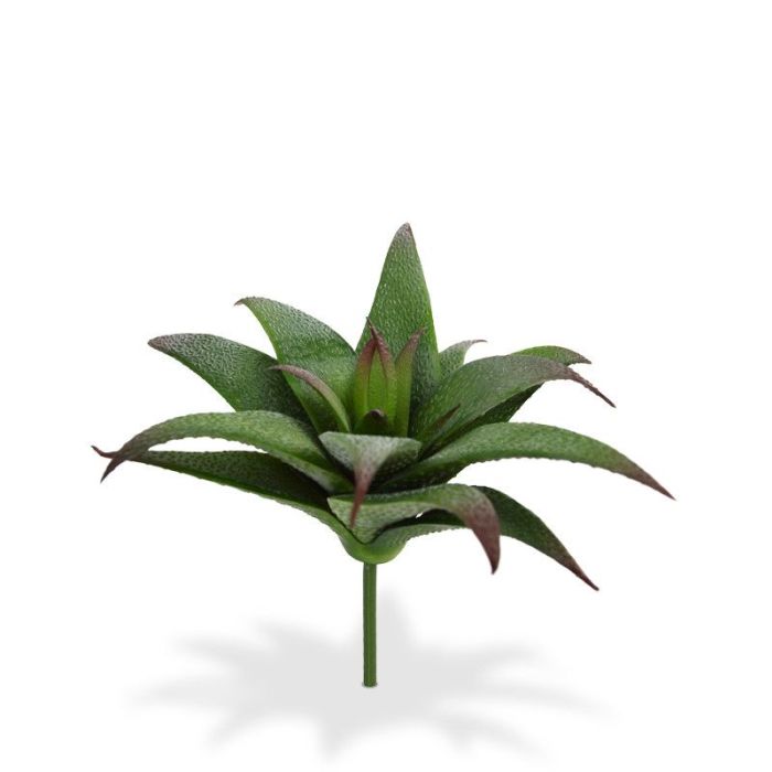 Haworthia Suculento buquê artificial main product photo