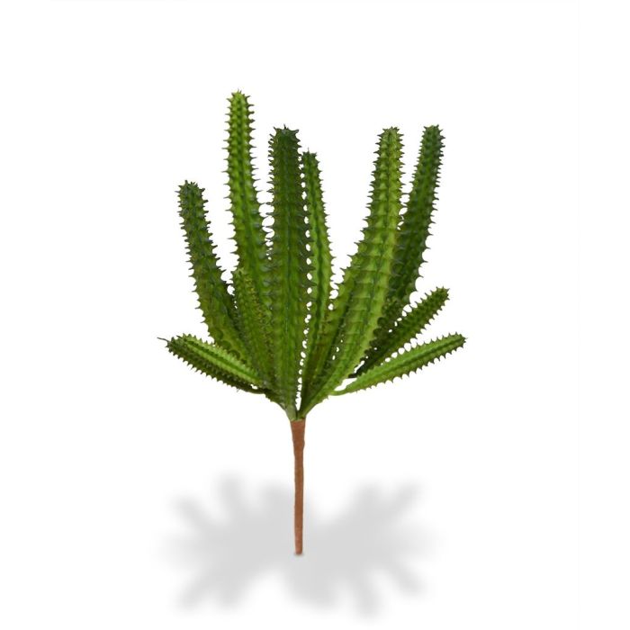 Eufórbia artificial Mini bouquet de cactos 20 cm main product photo