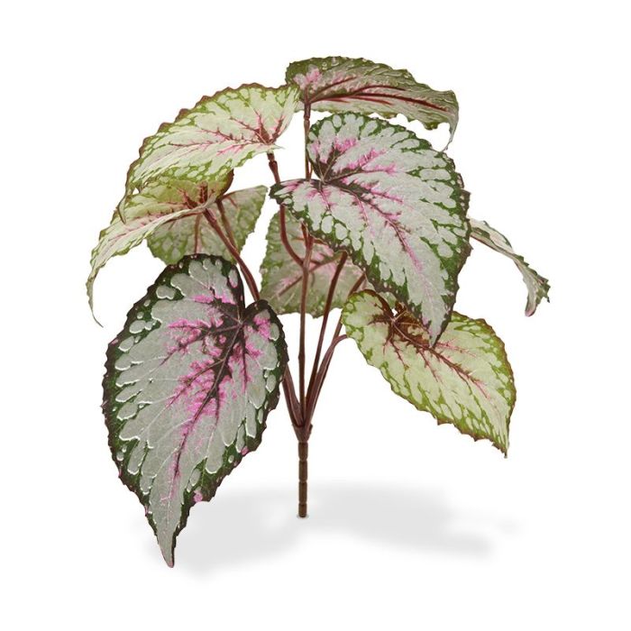 Bladbegonia kunstplant 25cm main product photo