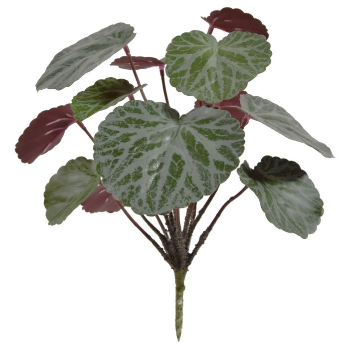 Saxifraga bouquet verde/vermelho 25cm main product photo