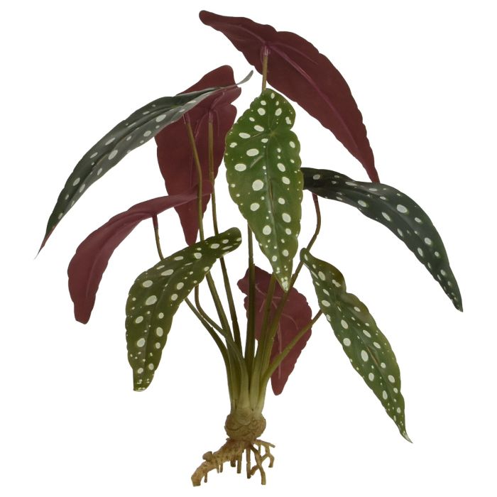Begonia Maculata planta artificial 35cm main product photo