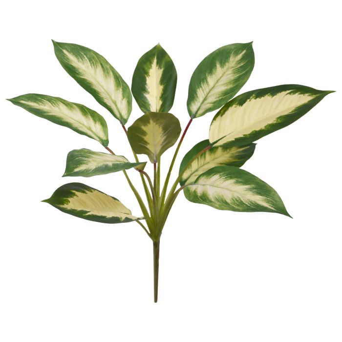 Planta artificial Dieffenbachia Camilla 50cm main product photo