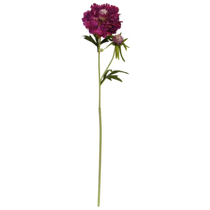 Scabiosa Flor Artificial 57cm Borgonha main product photo