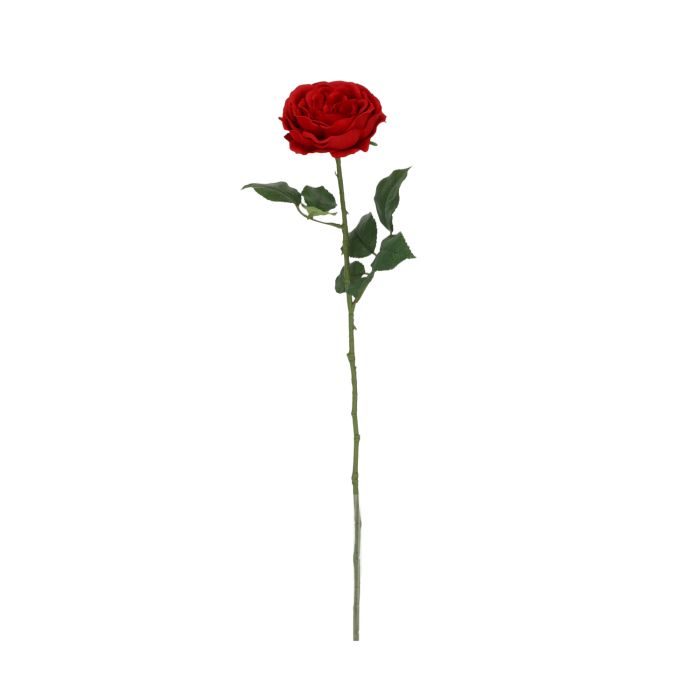Rosier Anglais Artificiais 56cm Vermelho main product photo