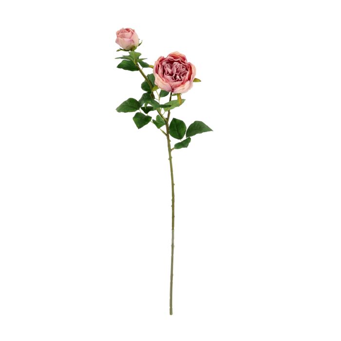 Rosier Anglais Artificiais 69cm Roxa main product photo