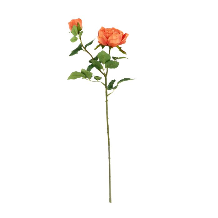 Rosier Anglais Artificiais 69cm Laranja main product photo