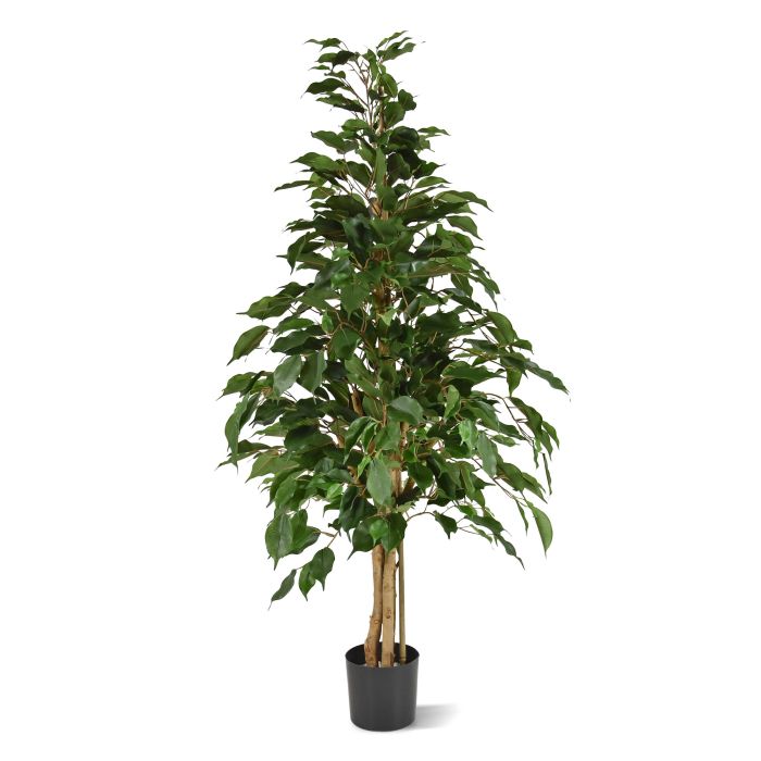 Ficus Exotica Artificial 120cm verde main product photo
