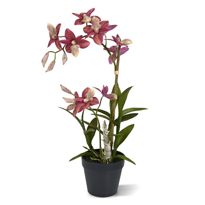 Orquídea artificial de aranha 50cm main product photo