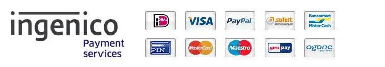 ingenico payment options